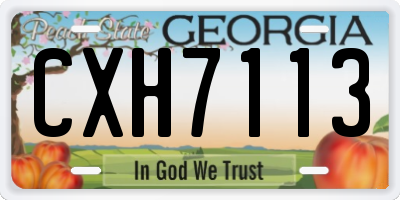 GA license plate CXH7113