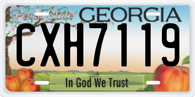 GA license plate CXH7119