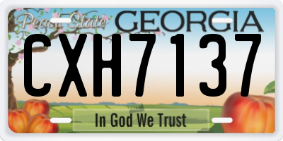 GA license plate CXH7137