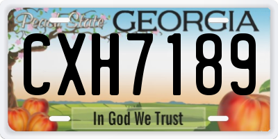 GA license plate CXH7189
