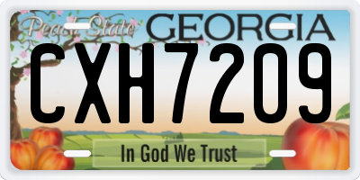 GA license plate CXH7209