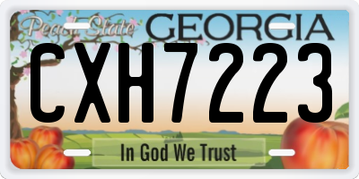 GA license plate CXH7223