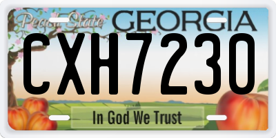 GA license plate CXH7230