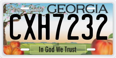 GA license plate CXH7232