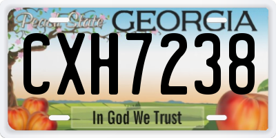GA license plate CXH7238