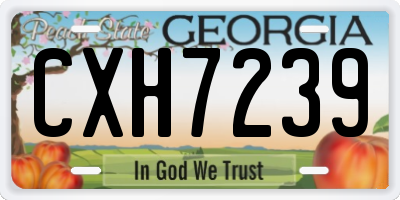 GA license plate CXH7239