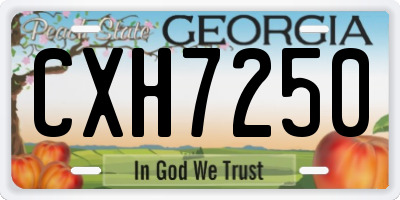 GA license plate CXH7250