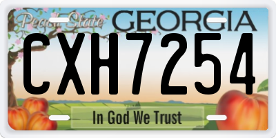 GA license plate CXH7254