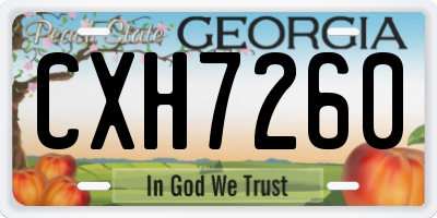 GA license plate CXH7260