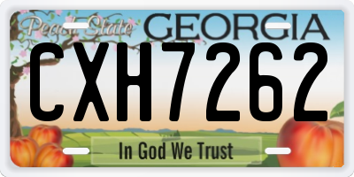 GA license plate CXH7262