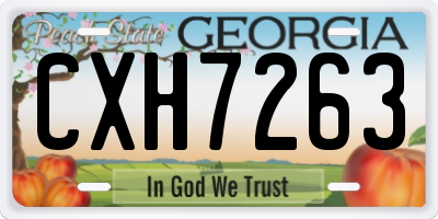 GA license plate CXH7263