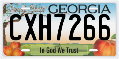 GA license plate CXH7266