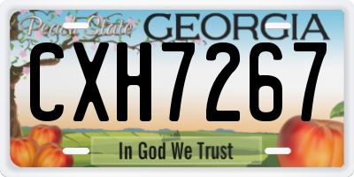GA license plate CXH7267