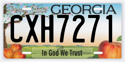 GA license plate CXH7271