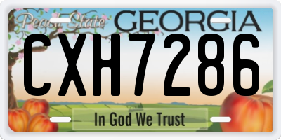 GA license plate CXH7286