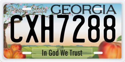 GA license plate CXH7288
