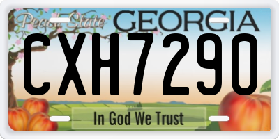 GA license plate CXH7290