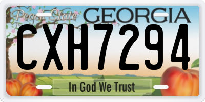 GA license plate CXH7294