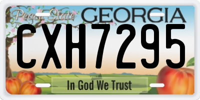 GA license plate CXH7295