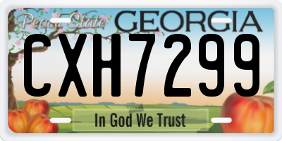 GA license plate CXH7299