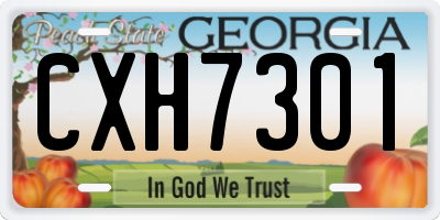 GA license plate CXH7301