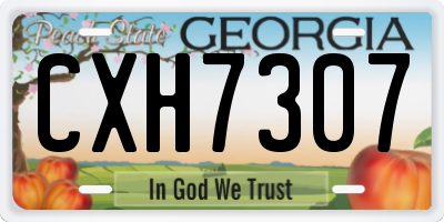 GA license plate CXH7307