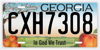 GA license plate CXH7308
