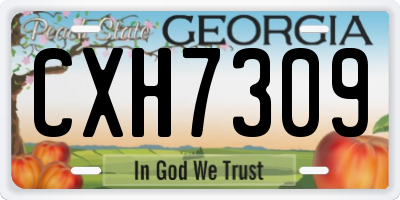 GA license plate CXH7309
