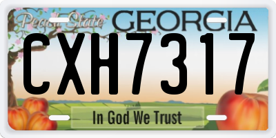 GA license plate CXH7317