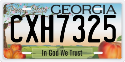 GA license plate CXH7325