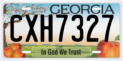 GA license plate CXH7327
