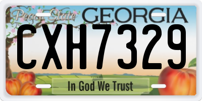 GA license plate CXH7329