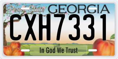 GA license plate CXH7331