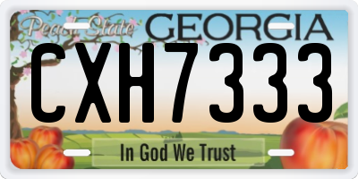 GA license plate CXH7333