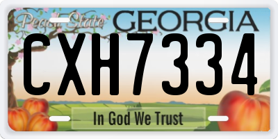 GA license plate CXH7334