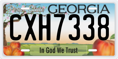 GA license plate CXH7338