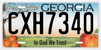 GA license plate CXH7340
