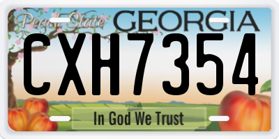 GA license plate CXH7354