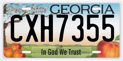 GA license plate CXH7355