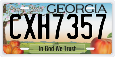 GA license plate CXH7357