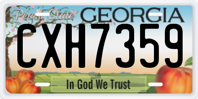 GA license plate CXH7359