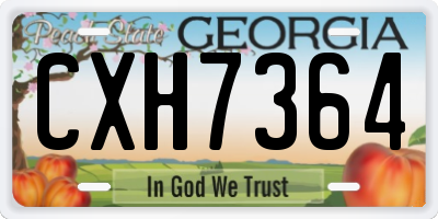 GA license plate CXH7364