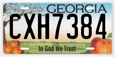 GA license plate CXH7384