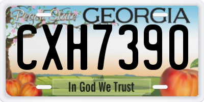 GA license plate CXH7390