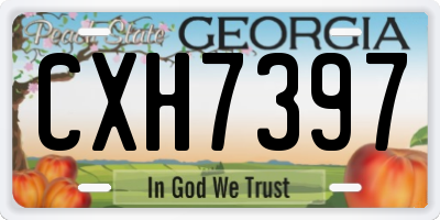 GA license plate CXH7397