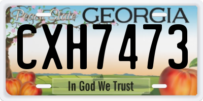 GA license plate CXH7473