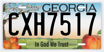 GA license plate CXH7517