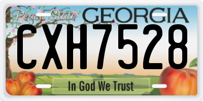 GA license plate CXH7528