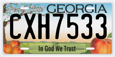 GA license plate CXH7533