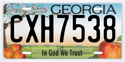 GA license plate CXH7538